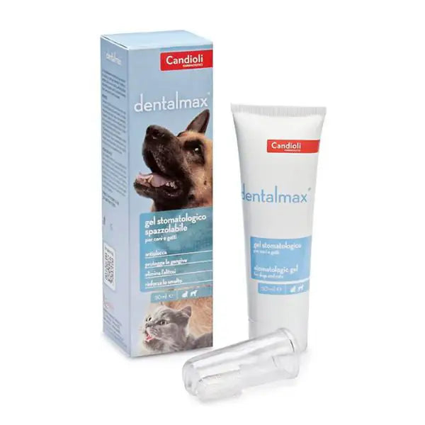 Candioli Pharma DentalMax gel stomatologico   bauzaarit.myshopify.com