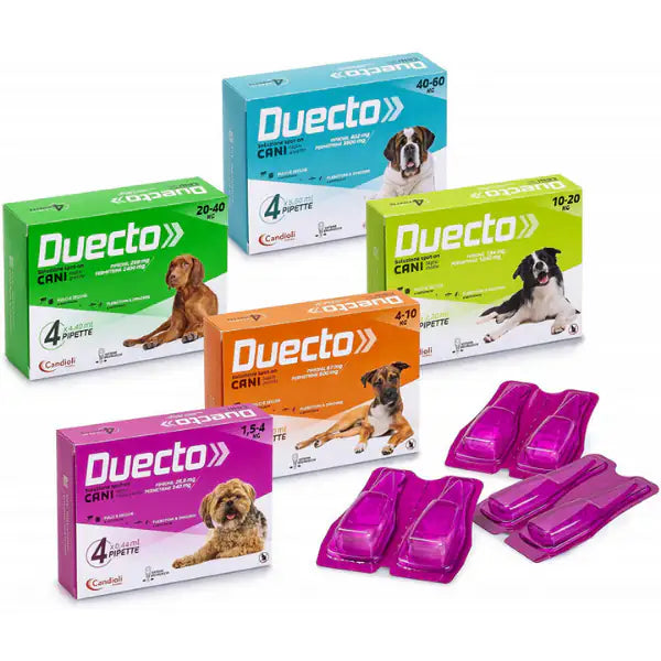 Candioli Pharma Duecto Spot On 4 pipette per cani   bauzaarit.myshopify.com