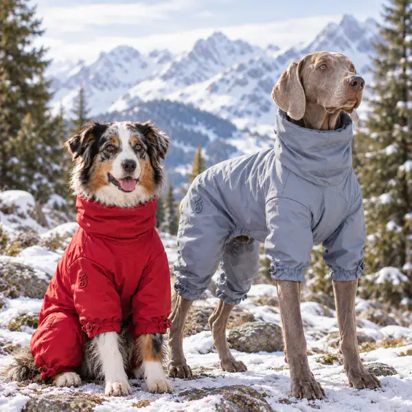 Cappottino impermeabile per cani Piuma super leggero dal collo alto Ferribiella   Bauzaar.it