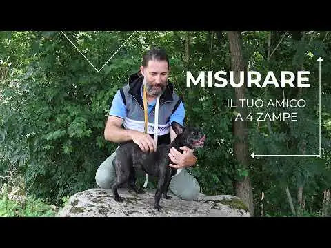 Cappotto Impermeabile per cani Montreal Croci   bauzaarit.myshopify.com