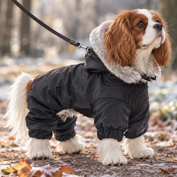 Cappotto per cani Neve in maglia elastica a coste sul torace Ferribiella   Bauzaar.it