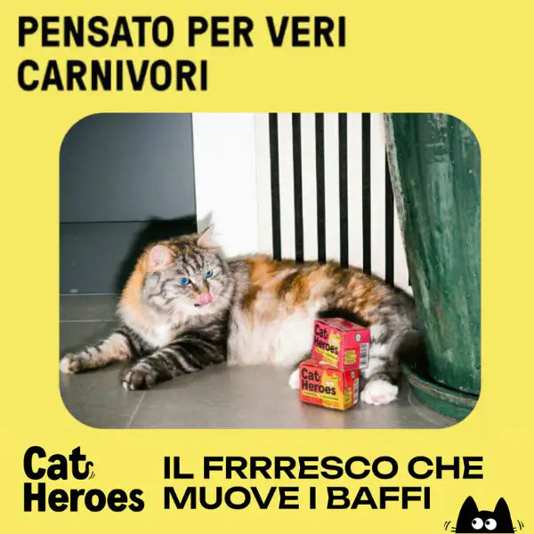 Cat Heroes Adult Patè Grain free cibo fresco da dispensa 95 gr   Bauzaar.it