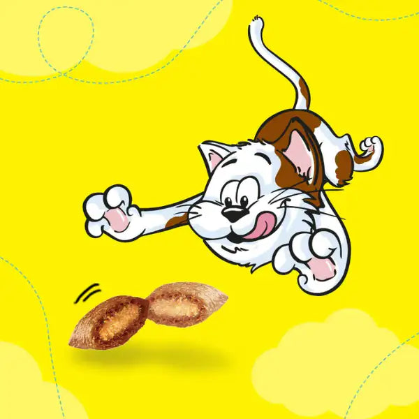 Catisfaction Dreamies Variety Box snack per gatti 12x60 gr   bauzaarit.myshopify.com