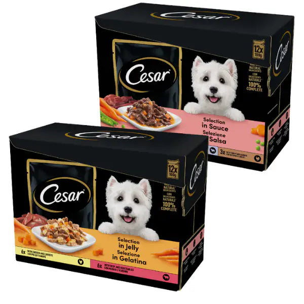 Cesar Dog Selezione Delizie del Giorno Multipack 12x100 gr   bauzaarit.myshopify.com