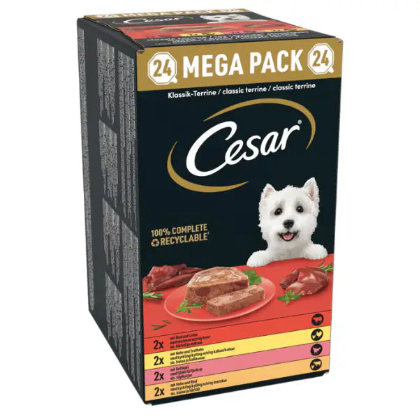 Cesar Dog Terrine Grain Free multipack 24x150 gr  Multigusto bauzaarit.myshopify.com