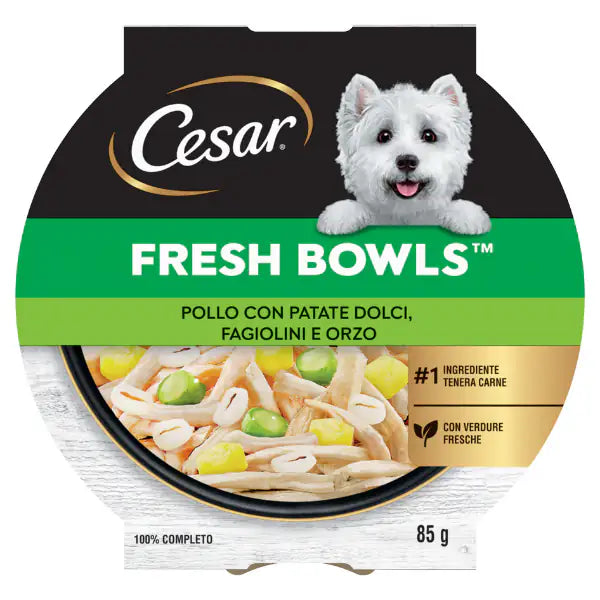 Cesar Fresh Bowls alimento completo per cani di piccola taglia 85 gr  Pollo con patate dolci, fagiolini e orzo bauzaarit.myshopify.com