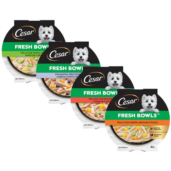 Cesar Fresh Bowls alimento completo per cani di piccola taglia 85 gr   bauzaarit.myshopify.com