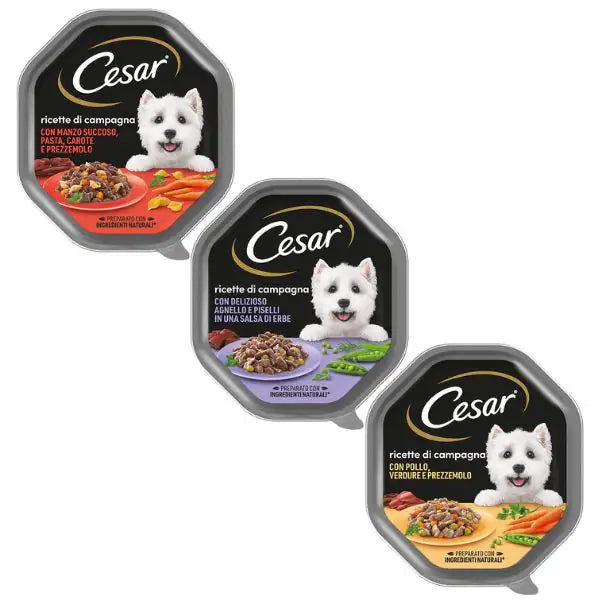 Cesar Ricette di Campagna 150gr   bauzaarit.myshopify.com