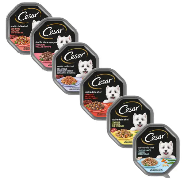 Cesar Scelta dello Chef 150 gr per cani di taglia piccola   bauzaarit.myshopify.com