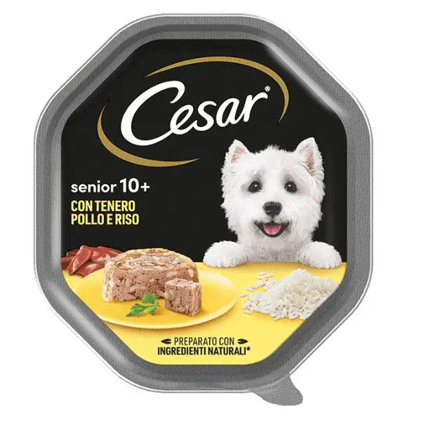 Cesar Senior 10+ in gelatina 150gr  Pollo e riso bauzaarit.myshopify.com