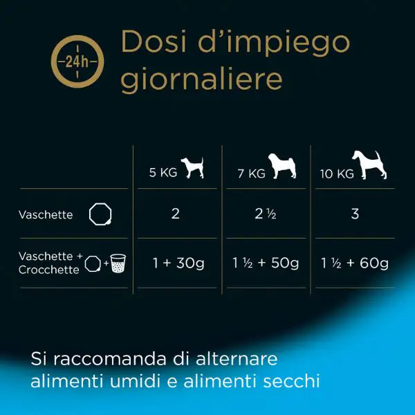 Cesar Senior 10+ in gelatina 150gr   bauzaarit.myshopify.com