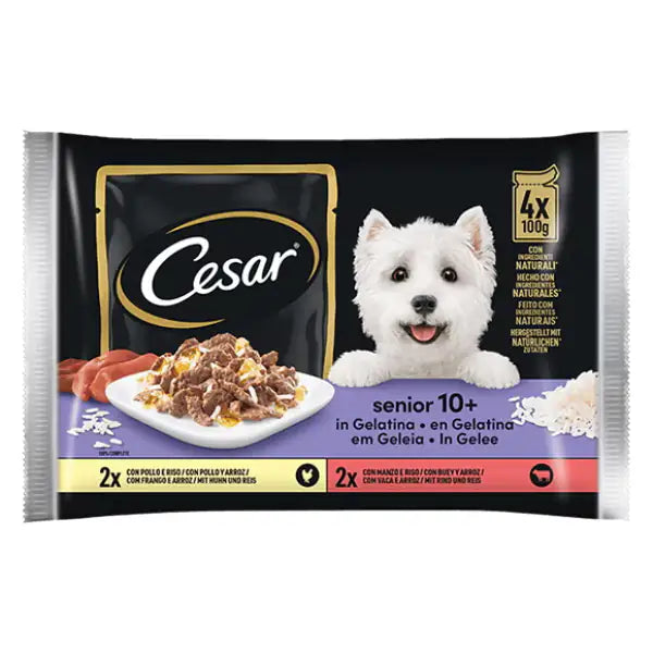 Cesar Senior 10+ in gelatina Multipack 4x100 gr   bauzaarit.myshopify.com