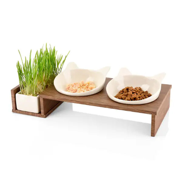 Ciotola doppia per gatti con ceramica per erba gatta FoodBar Cat Diner CanadianCat  Legno naturale bauzaarit.myshopify.com