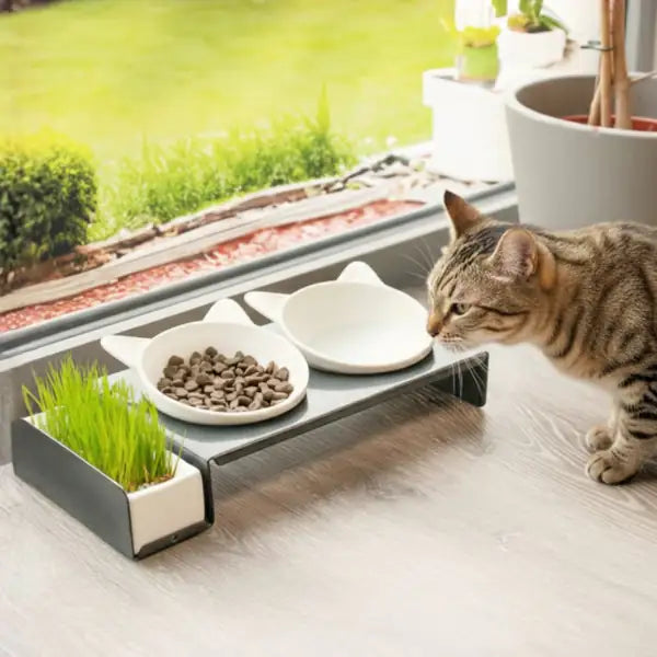 Ciotola doppia per gatti con ceramica per erba gatta FoodBar Cat Diner CanadianCat   bauzaarit.myshopify.com