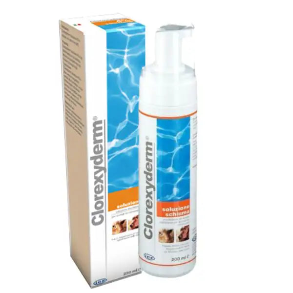 Clorexyderm Soluzione Schiuma dermatologica ICF   bauzaarit.myshopify.com