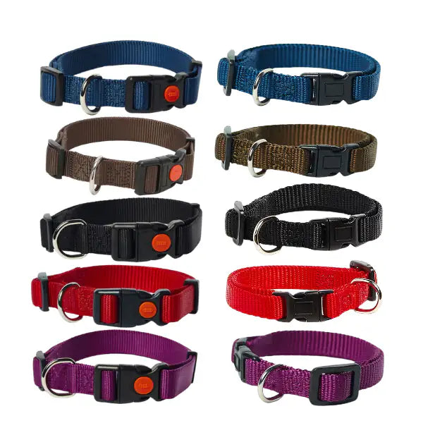 Collare in nylon regolabile a sgancio PetUp   bauzaarit.myshopify.com
