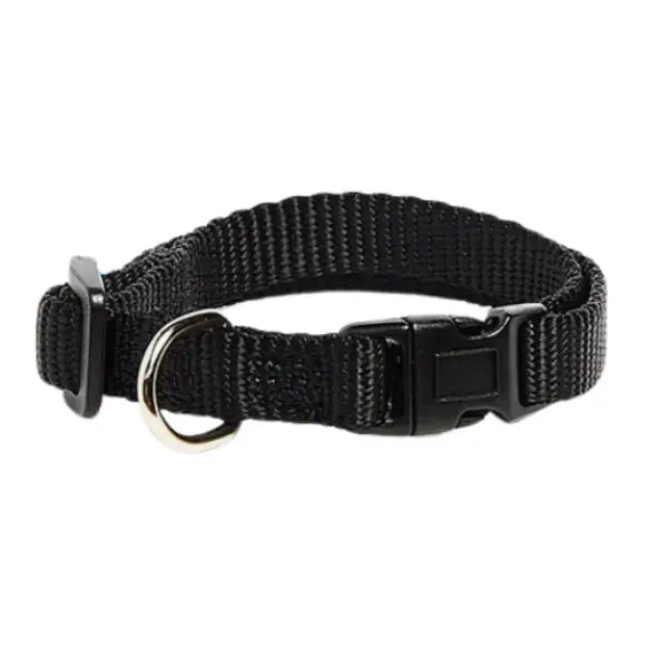 Collare in nylon regolabile a sgancio PetUp   bauzaarit.myshopify.com