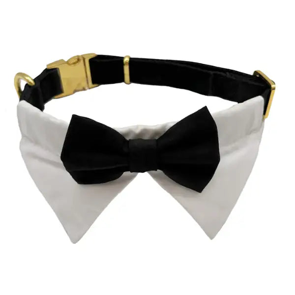 Collare per cani da cerimonia team Bride Croci Ceremony  Papillon Smoking Taglia L Bauzaar.it