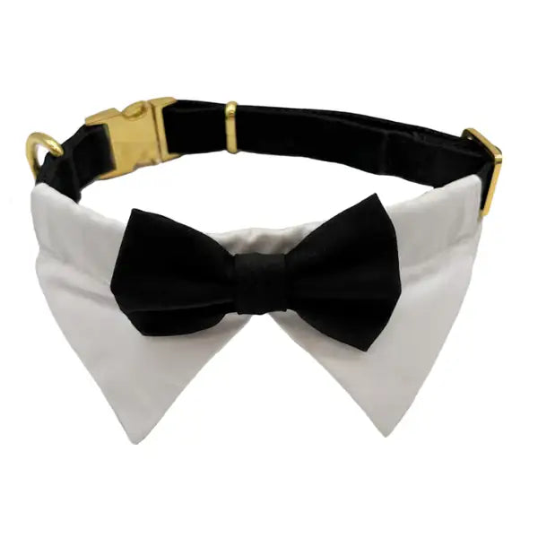 Collare per cani da cerimonia team Bride Croci Ceremony  Papillon con smoking - taglia S bauzaarit.myshopify.com