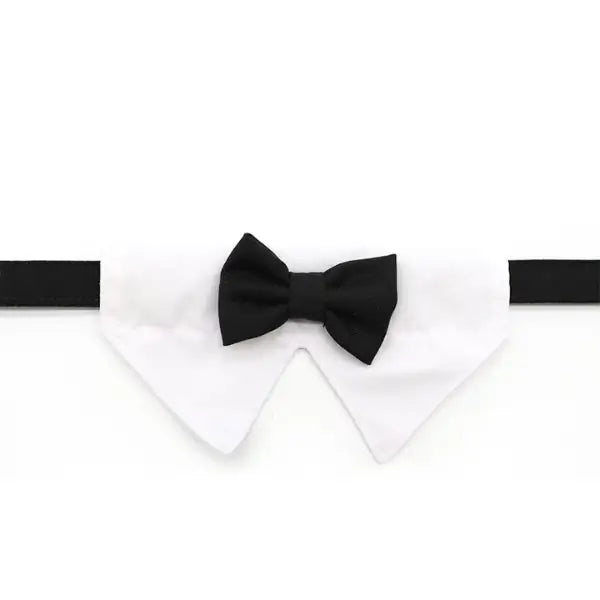 Collare per cani da cerimonia team Bride Croci Ceremony   bauzaarit.myshopify.com