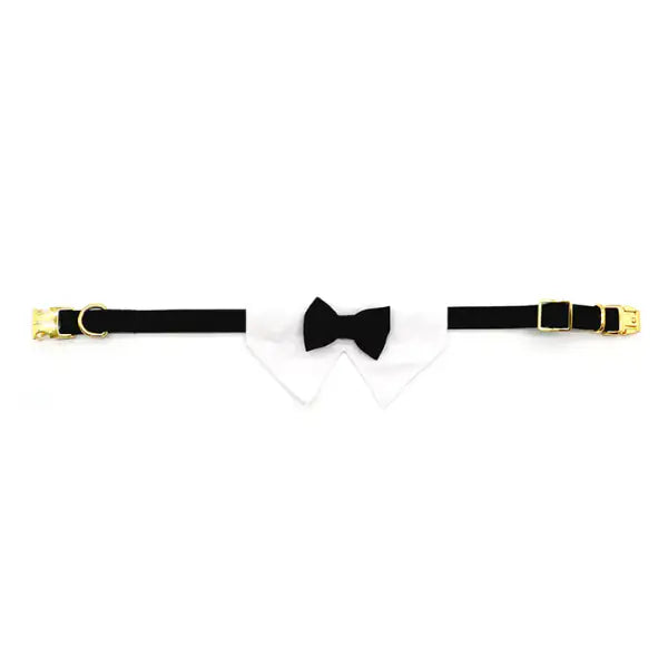 Collare per cani da cerimonia team Bride Croci Ceremony   bauzaarit.myshopify.com