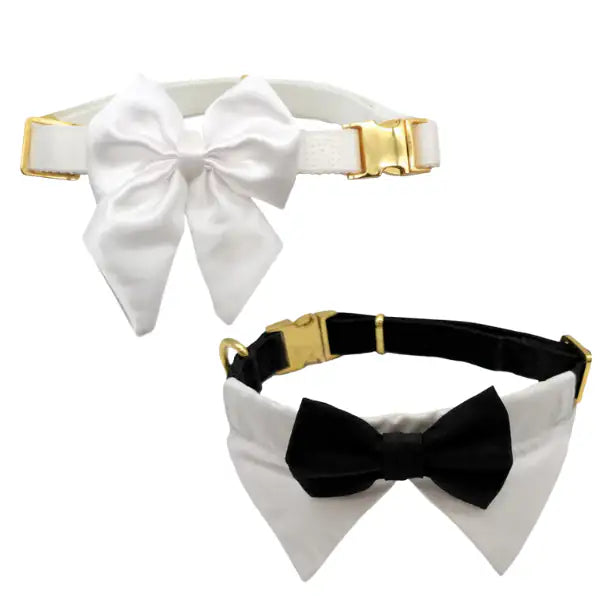 Collare per cani da cerimonia team Bride Croci Ceremony   bauzaarit.myshopify.com