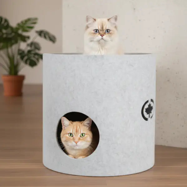 Cuccia a 2 piani con tiragraffi per gatti integrato Torre Owen CanadianCat   bauzaarit.myshopify.com