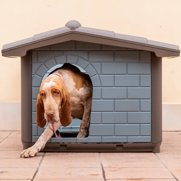 Cuccia per cani da esterno Eco PetUp   bauzaarit.myshopify.com