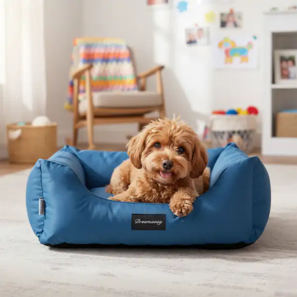 Cuccia per cani da interno Petit Sofà Dreamaway Boston Fabotex   bauzaarit.myshopify.com