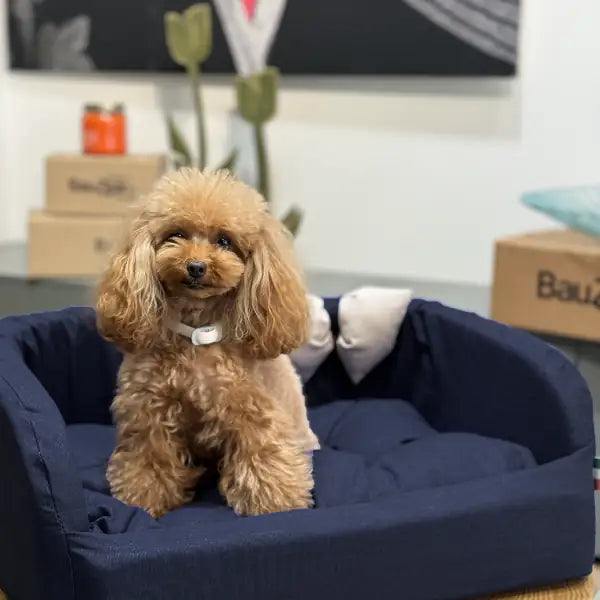Cuccia per cani da interno Solid Blu Fabotex   bauzaarit.myshopify.com