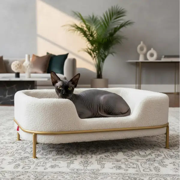 Cuccia per gatti e cani di piccola taglia Luxury CanadianCat  Bianco con dettagli dorati bauzaarit.myshopify.com