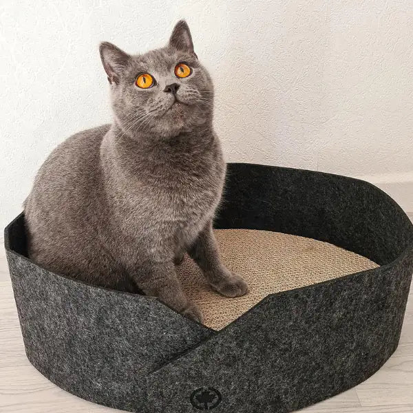 Cuccia per gatti in feltro con fondo tiragraffi in cartone Owen CanadianCat  Antracite bauzaarit.myshopify.com