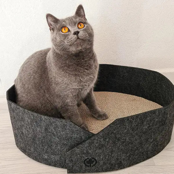 Cuccia per gatti in feltro con fondo tiragraffi in cartone Owen CanadianCat   bauzaarit.myshopify.com