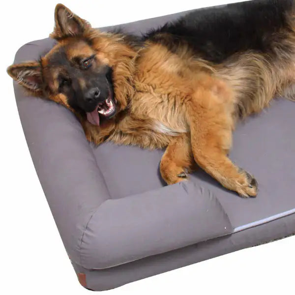 Cuscino Revenant Limitless in Memory Foam Croci   bauzaarit.myshopify.com