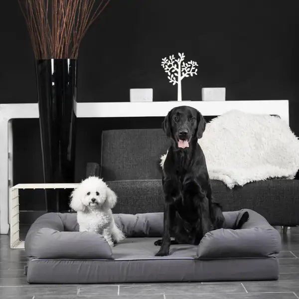 Cuscino Revenant Limitless in Memory Foam Croci   bauzaarit.myshopify.com