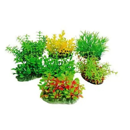 Decorativi Tropical Plan Amtra   bauzaarit.myshopify.com