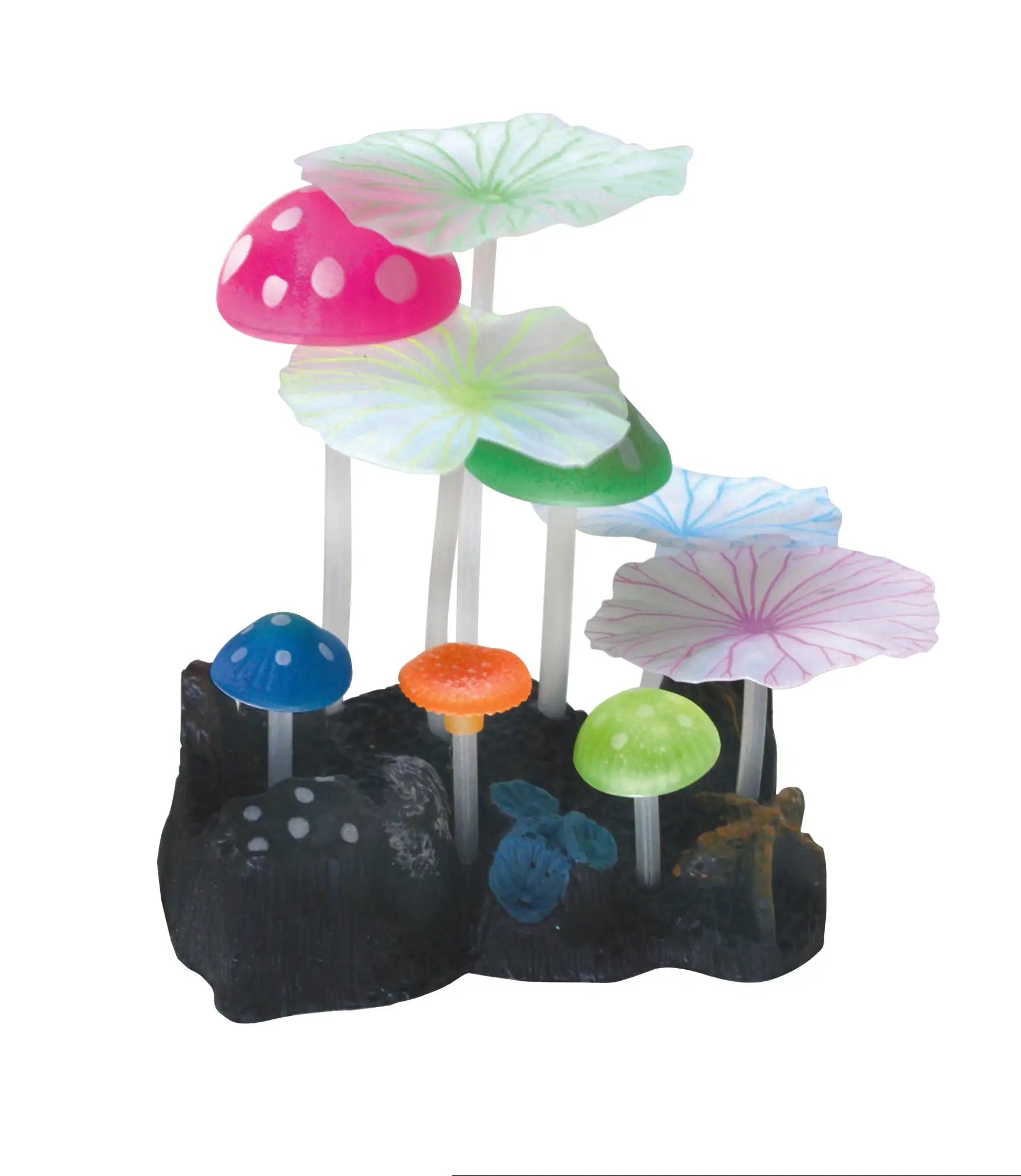 Decorazione Fluo Reef Amtra   bauzaarit.myshopify.com