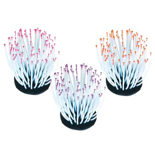 Decorazione Fluo Reef Amtra   bauzaarit.myshopify.com