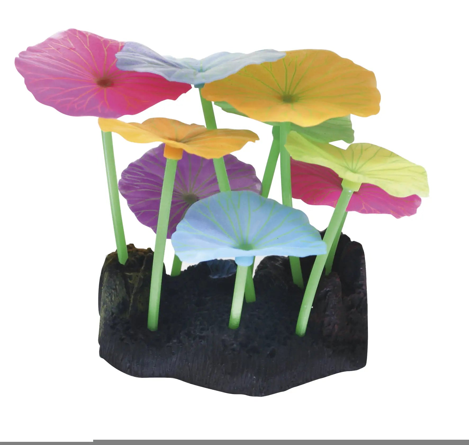 Decorazione Fluo Reef Amtra   bauzaarit.myshopify.com