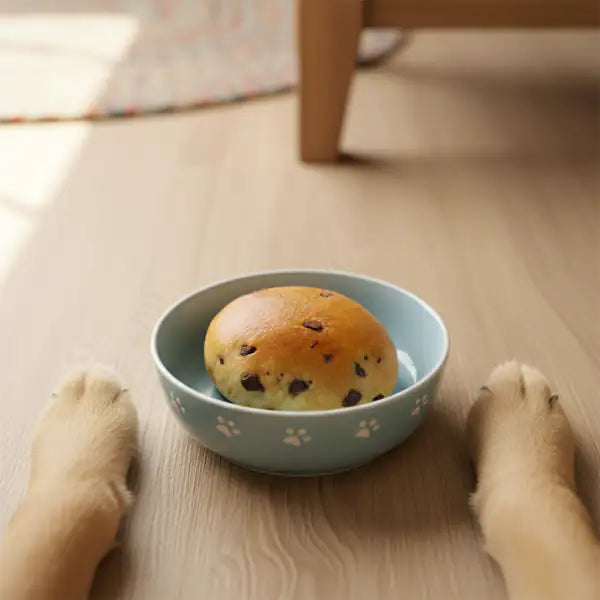 Delì Pet Dolce Colazione Snack Artigianali per cani 50 gr  Cangocciole bauzaarit.myshopify.com