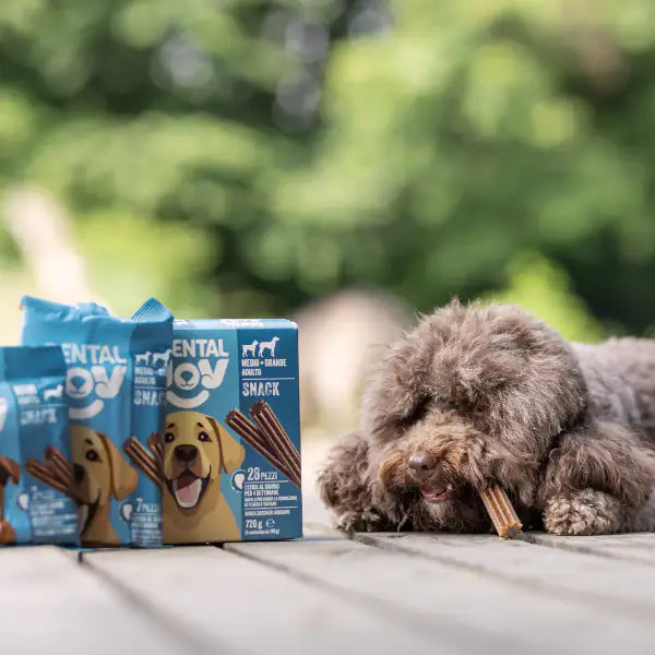 DentalJoy Dog Adult Medium/Large Snack Dentali   bauzaarit.myshopify.com