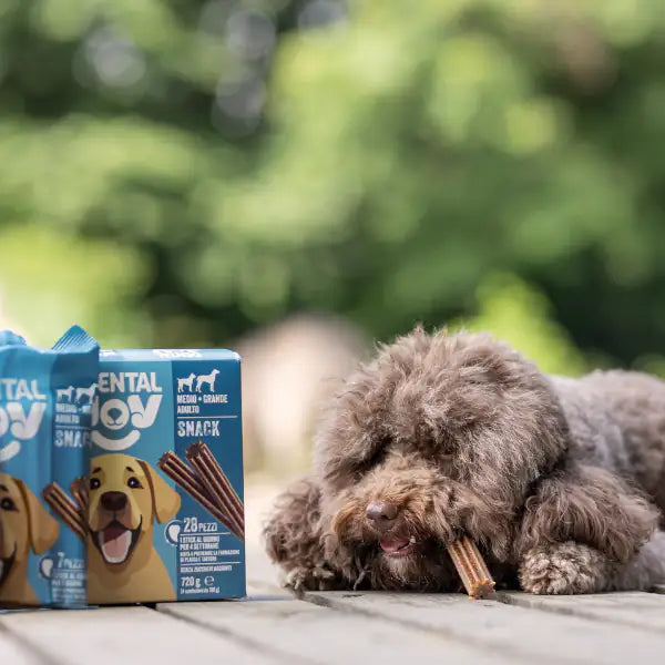 DentalJoy Dog Adult No Grain Mini Snack Dentali   bauzaarit.myshopify.com