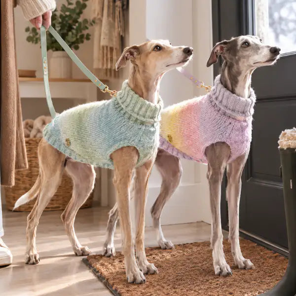 Dolcevita per cani Aurora palette sfumata Ferribiella   Bauzaar.it