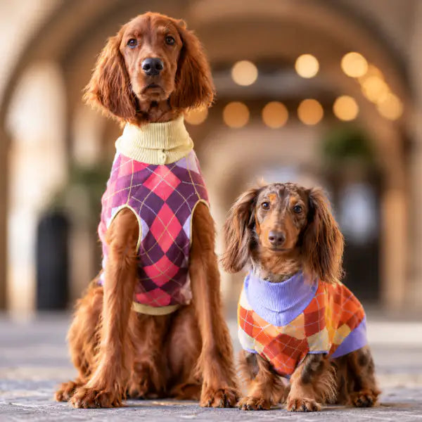 Dolcevita per cani Preppy inconica fantasia scozzese argyle Ferribiella   Bauzaar.it