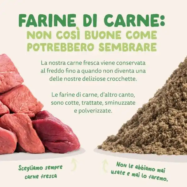 Edgard & Cooper Adult Grain Free Agnello   bauzaarit.myshopify.com
