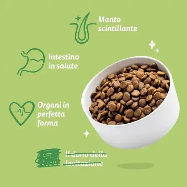 Edgard & Cooper Adult Grain Free Agnello   bauzaarit.myshopify.com