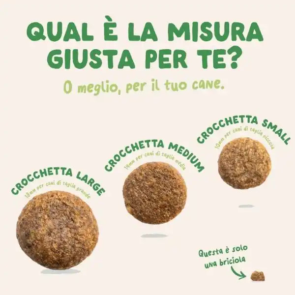 Edgard & Cooper Adult Grain Free Agnello   bauzaarit.myshopify.com