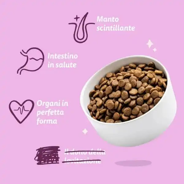 Edgard & Cooper Adult Grain Free Anatra e Cervo   bauzaarit.myshopify.com