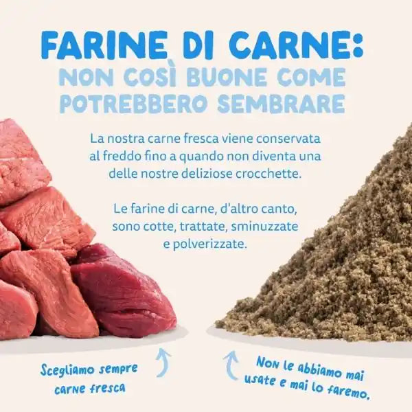 Edgard & Cooper Adult Grain Free Salmone   bauzaarit.myshopify.com