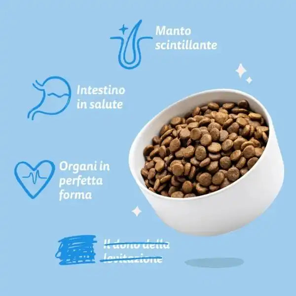 Edgard & Cooper Adult Grain Free Salmone   bauzaarit.myshopify.com